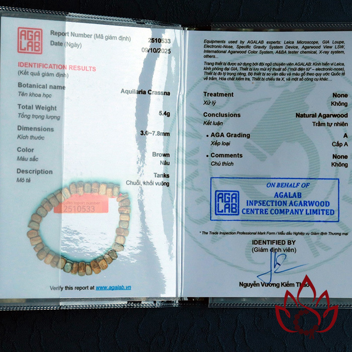 Vòng Trầm Hương Hạt Dẹp Thô | 7 Ly | Trầm Tốc Kiến Tự Nhiên Lâu Năm